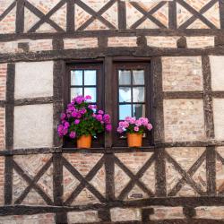 メクシミュー 5軒のバケーションレンタル