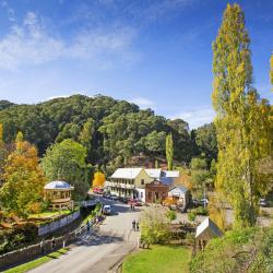 Walhalla 4 pet-friendly hotels