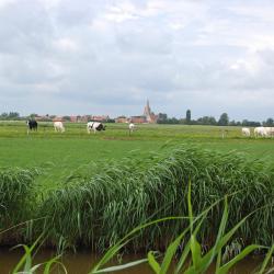 Evergem 4 cottages