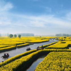Xinghua 9 hotels