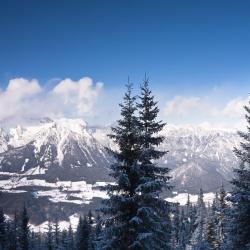 Sankt Sigmund im Sellrain 8 Hotels