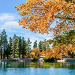 Running Springs 23 pet-friendly hotels