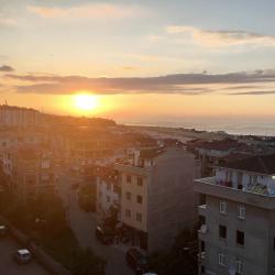 Pelitli 36 hotels
