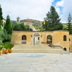 Tala 8 holiday rentals