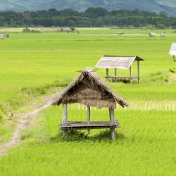 Louang Namtha 9 hotels