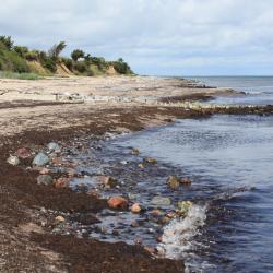 Nykøbing Sjælland 4 ubytování s možností vlastního stravování