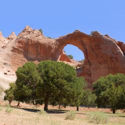 Window Rock 1 hotel