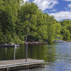 Baudette 4 hotels