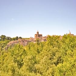 Capranica 16 hotel pet friendly