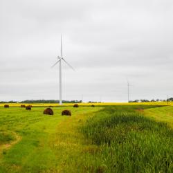 Moosomin 4 hoteles con estacionamiento