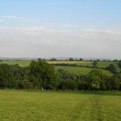 Tenbury 7 B&Bs