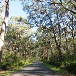 Berrima 11 hotel