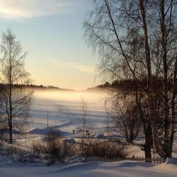 Viitasaari 9 accommodations