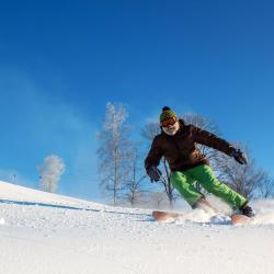 Hassela 3 pet-friendly hotels