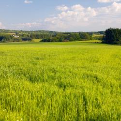 Oberthulba 3 hot&eacute;is 3 estrelas