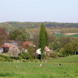 Profondeville 17 cottages
