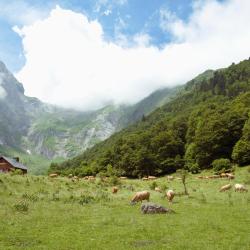 Escu&ntilde;au 8 ski resort