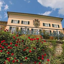 Geisenheim 20 apartments