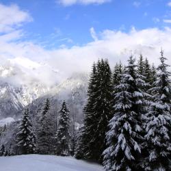 Zöblen 6 holiday rentals