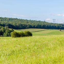 Lehighton 3 cheap hotels