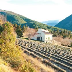 Buis-les-Baronnies 7 B&Bs