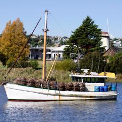Smithton 10 hotels