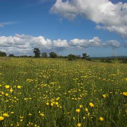 Midsomer Norton 5 hotels with parking