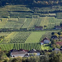 Rossatz 4 holiday rentals