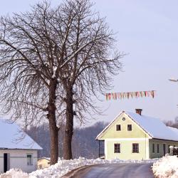 Zgornja Kungota 3 apartments