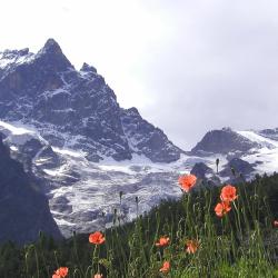 Clavans-en-Haut-Oisans 1 hotel