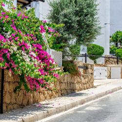 Tersephanou 14 hotels