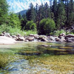 North Wawona 45 hotels