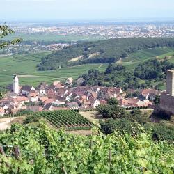 Katzenthal 10 hotels