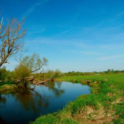 Rieste 28 hotels with parking