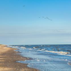 Bolivar Peninsula 6 間獨立小屋