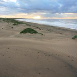 Mtunzini 31 hotels