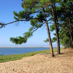 Ronce-les-Bains 6 hôtels près de la plage