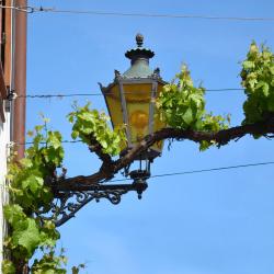 Frankenthal 16 hot&eacute;is com estacionamento