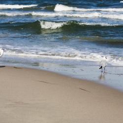 Wiek auf R&uuml;gen  10 hotel pantai
