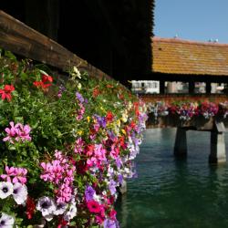 Rothenburg 3 hotely pro pobyt s domácími mazlíčky