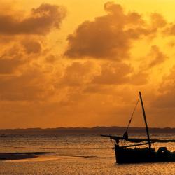 Lamu 6 cottages