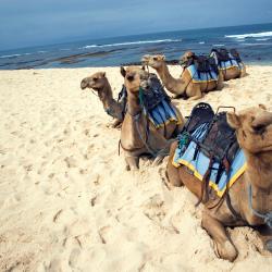 Rabigh 7 hotels with parking