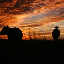 Guymon 8 hotels