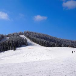 Palyanytsya 4 cabins