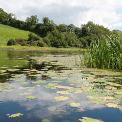 Ballyconnell 4 σαλέ