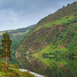 Laragh 3 cottages
