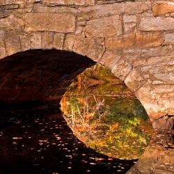 Leintwardine 10 hotels with parking