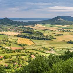 Balatonhenye 5 holiday rentals