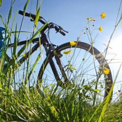 Oberaurach 3 self-catering accommodations