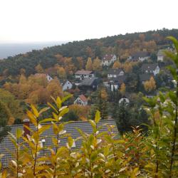 Großbundenbach 1 hotel